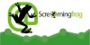 screaming frog